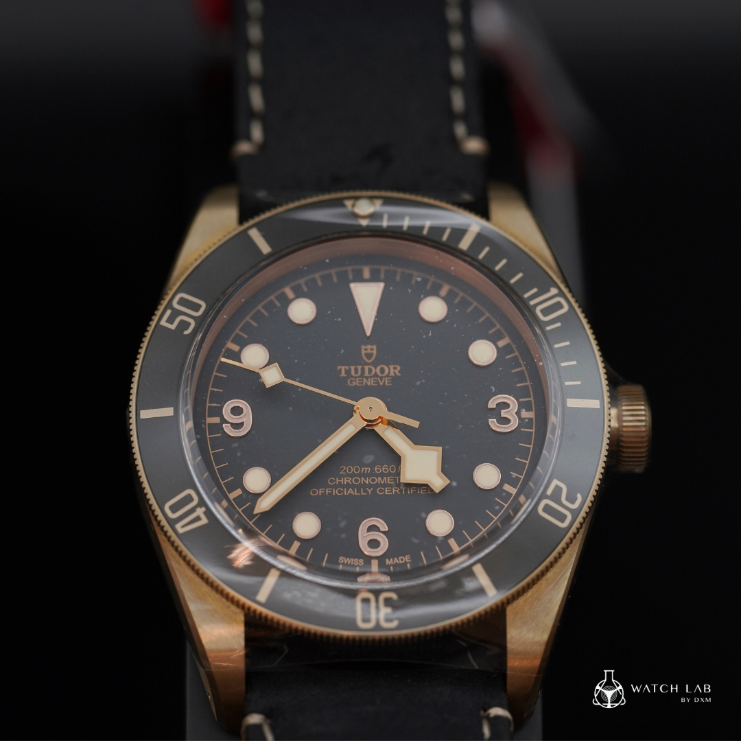 TUDOR 帝舵腕錶 | BLACK BAY  M79250BA 銅