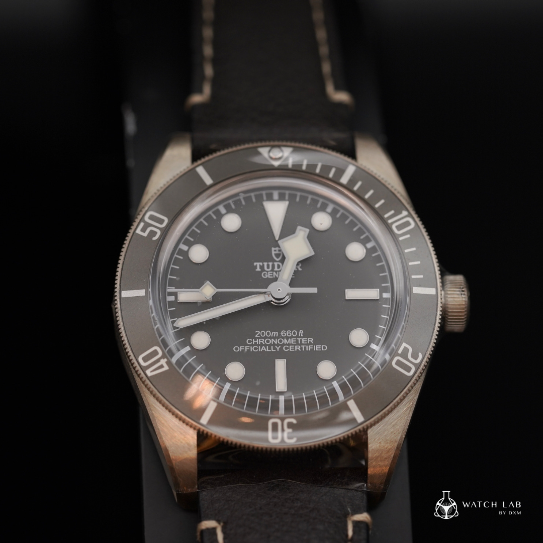 TUDOR 帝舵腕錶 | BLACK BAY 58 925 M79010SG