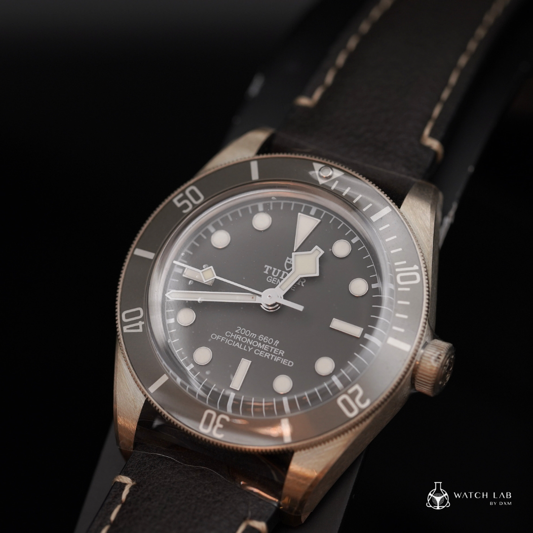 TUDOR 帝舵腕錶 | BLACK BAY 58 925 M79010SG