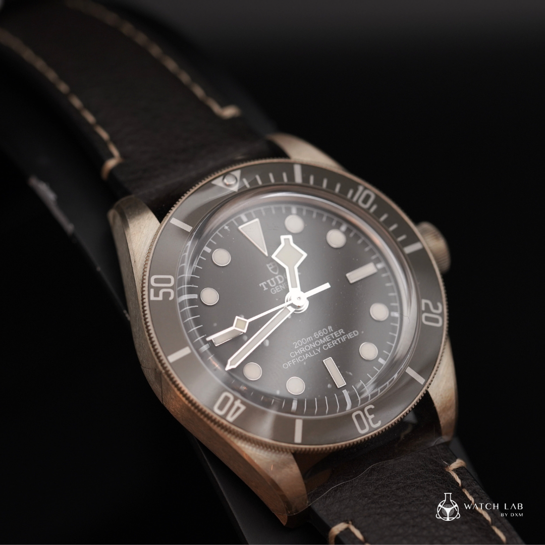 TUDOR 帝舵腕錶 | BLACK BAY 58 925 M79010SG